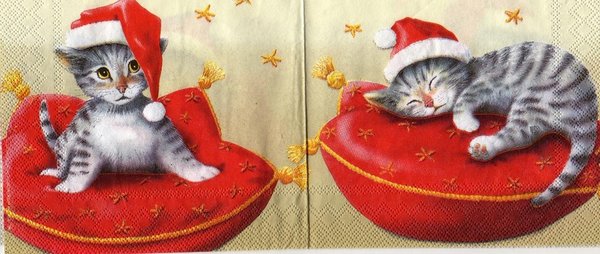 Christmas  cat , Katze Kissen