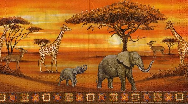 Wildtiere Afrika Elefant