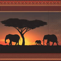 Safari Serengeti  Afrika Elefant Sonderpreis
