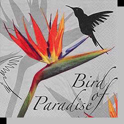 Bird of paradies black