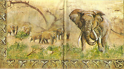Afrika Elefant Stoßzähne