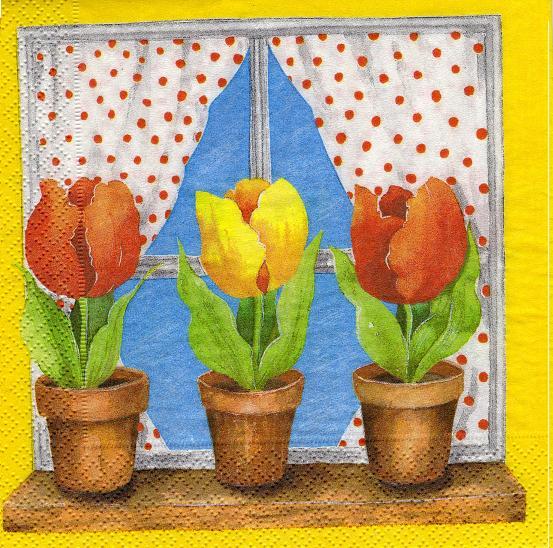Tulpen am Fenster