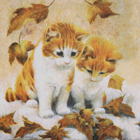 Katzen im Herbst
