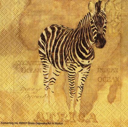 Zebra - africa voyage