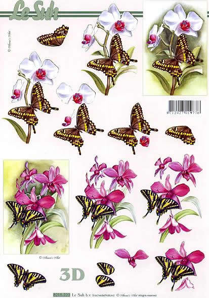 3D Bogen Schneidebogen Orchidee Blume & Schmetterling