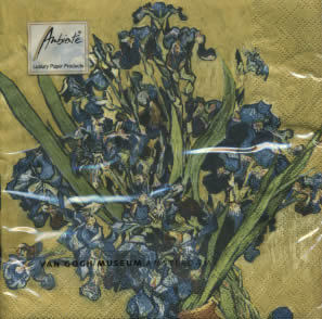 Van Gogh Museum  Iris