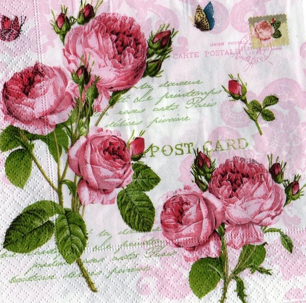 Fashion Rose Post Card