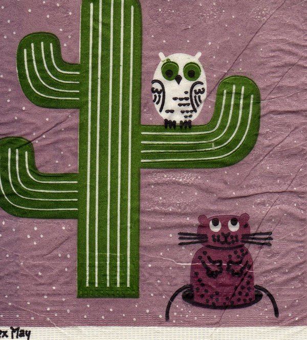 Eule mit kaktus