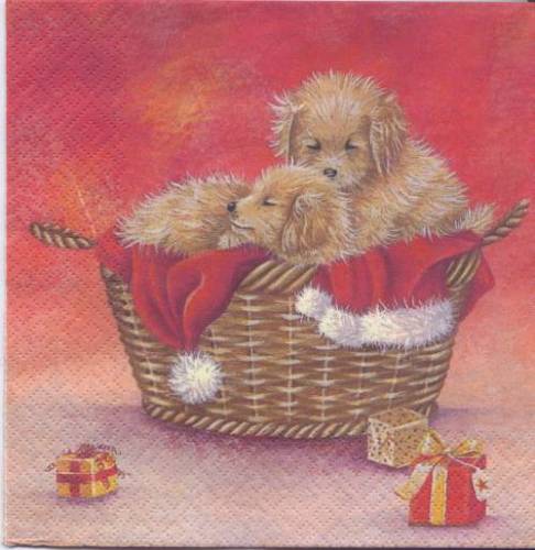 Puppies in a basket  Hunde im Korb