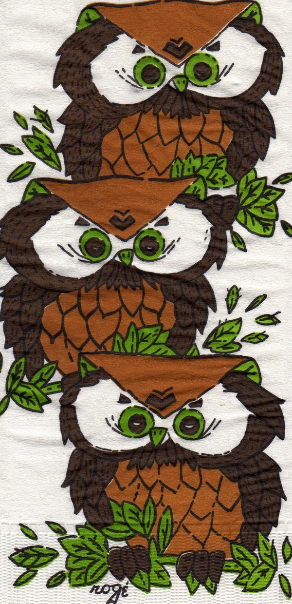 3 braune Eulen Owl
