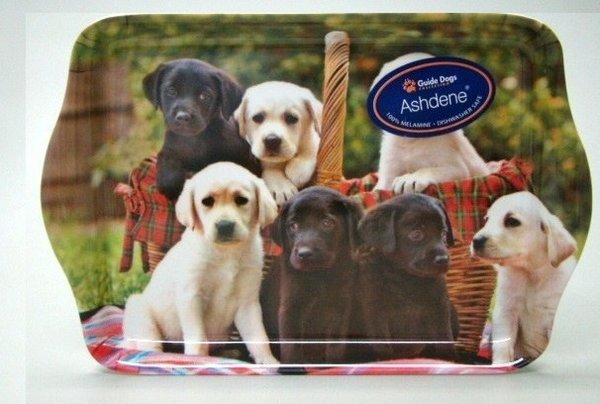 Snack -Tablett  Labradors  dogs Ashdene