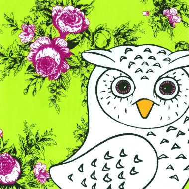 Eule - Owl on Stage grün