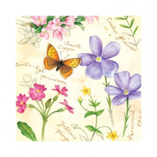 Spring Time Frühjahr Frühling zarte Blumen Schmetterling  zarter Schriftzug