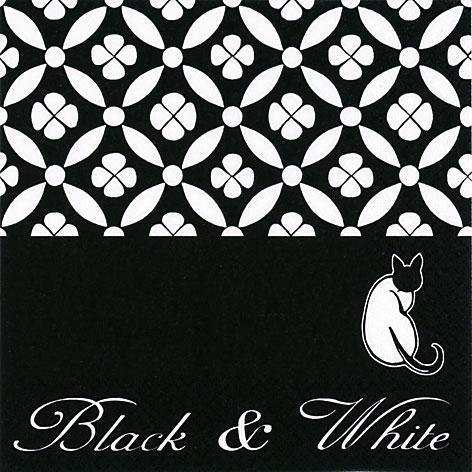 Katze black & white