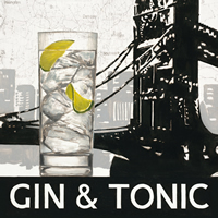 Cocktail Gin & Tonic