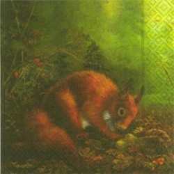 Squirrel with nuts - Eichhörnchen