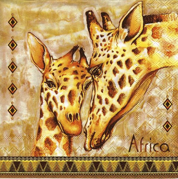 Giraffen  Africa