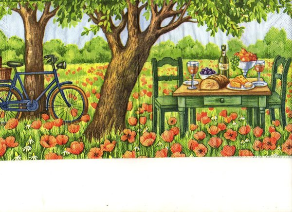Tulpen auf der Wiese , BAnk & Fahrrad