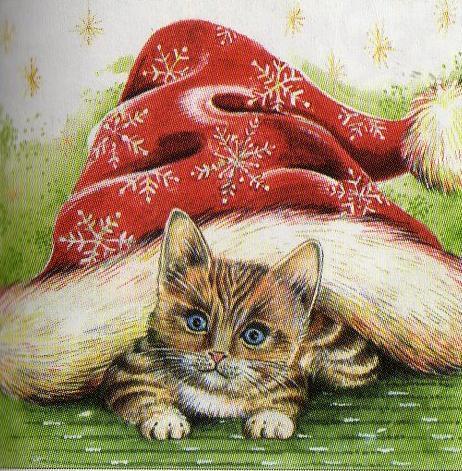 Christmas Kitten , KAtze