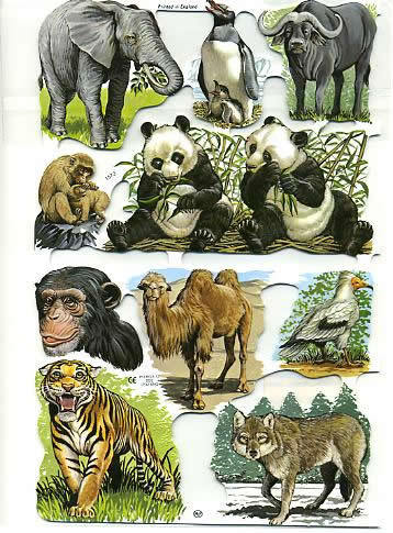 Tiere Affe Panda Tiger Elefant  Poesie Album Bild