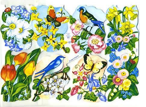 Blumen Schmetterlinge Vögel  Tulpen  Poesie Album Bild