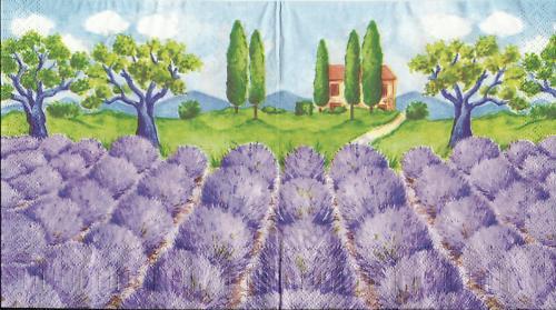 Provence , Lavendel vor dem Haus