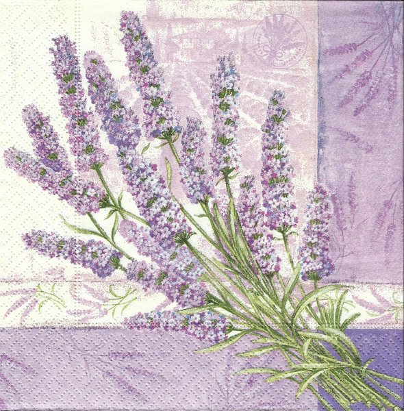 LAvendel - Bund