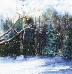 Winter im Wald -  Charles Keller