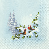 Winterbirds - Vögel im Winter