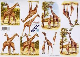3D Bogen Schneidebogen Giraffen        80