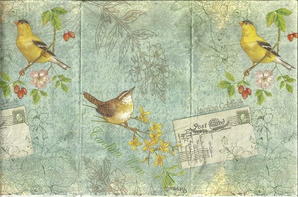 American Goldfinch - Vogel Postkarten