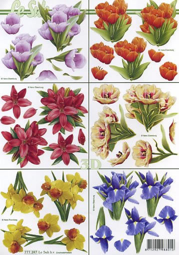 3D Bogen Schneidebogen Iris Tulpe Narzisse 6x Blume  397