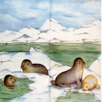 Robben auf  Eisschollen