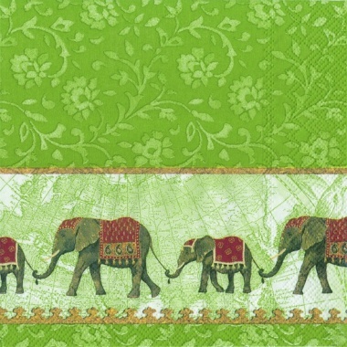 Elefanten  Natume grün