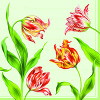Classic Tulips green