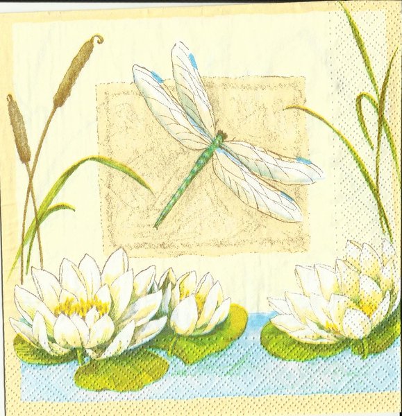 Seerose  und Libelle - Lotus