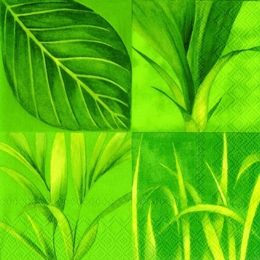 Rainforest green