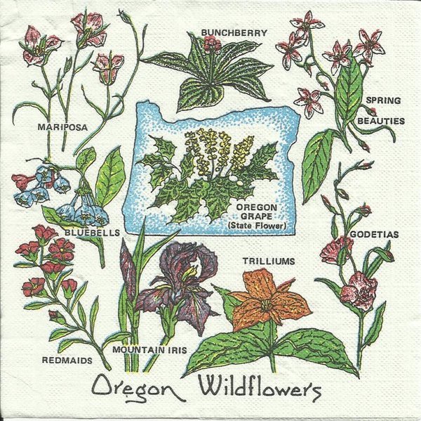 Oregon  Wildflowers