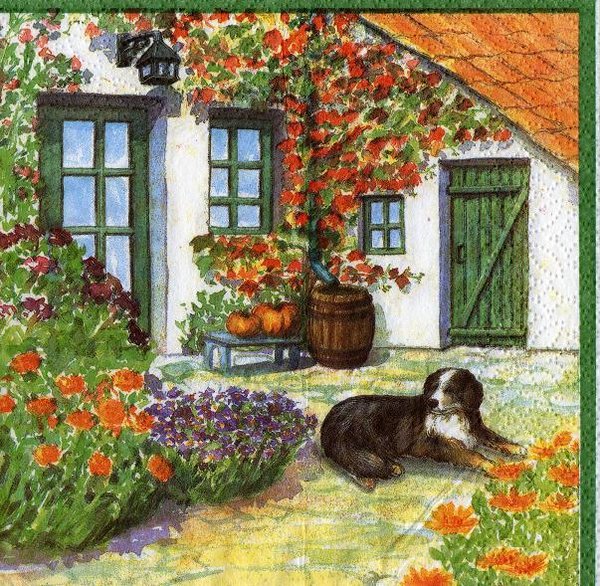 Bernhardiner vor Haus im Garten - Hund
