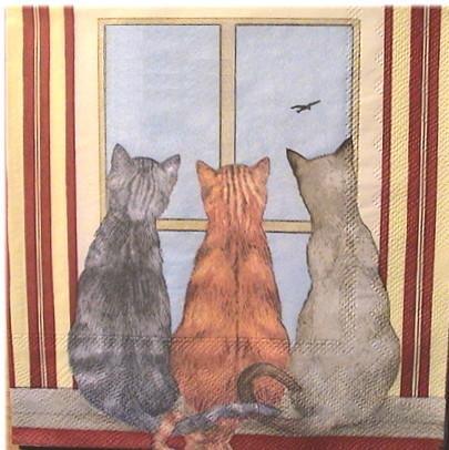 Three red cats - 3 KAtzen am Fenster