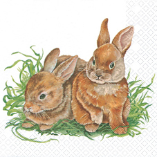 Young Rabbits