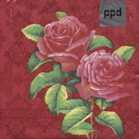 Retro Powder Rose pink