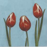Tulips türkis
