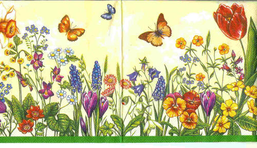 Frühlingswiese , Tulpen - Schmetterling