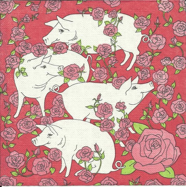 Schweine und Rosen