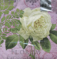 Rose Florum lila