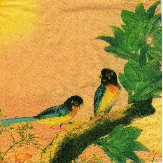 Zwei Kolibries - Hummngbirds
