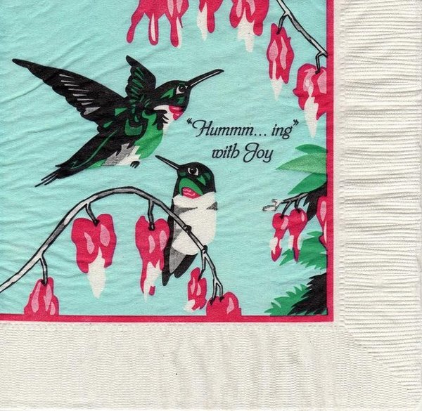 Hummingbird- Hummm...ing with joy - Kolibries