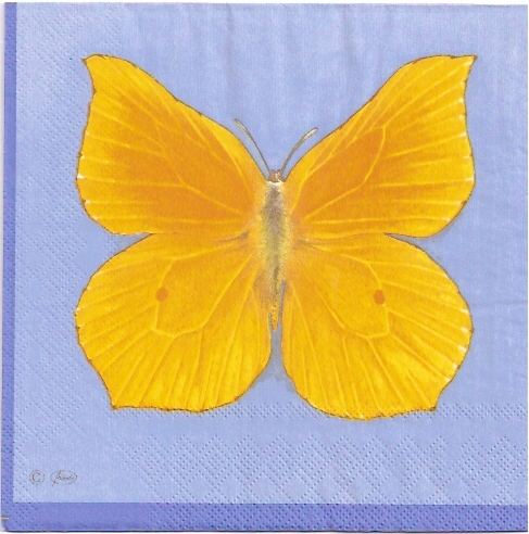 Farfalle - Schmetterling