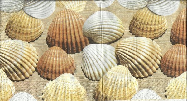 Shell Gathering - Muscheln am Strand